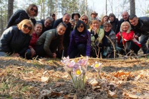 На першоцвіти до Міжріччя: Беремицьке, Остер, Отрохи